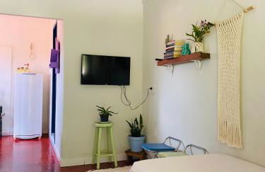 Casinha colibri - Photo 5