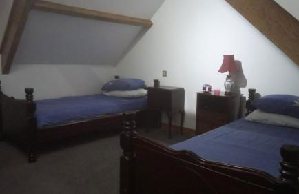 The Old Swan - Photo 11