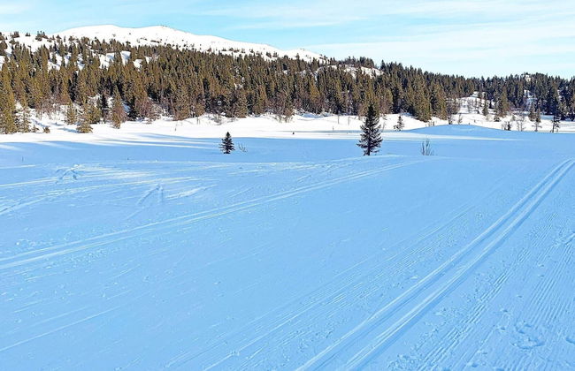 6 Person Holiday Home in Aurdal - Foto 10