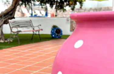 Hakuna Matata - Foto 62