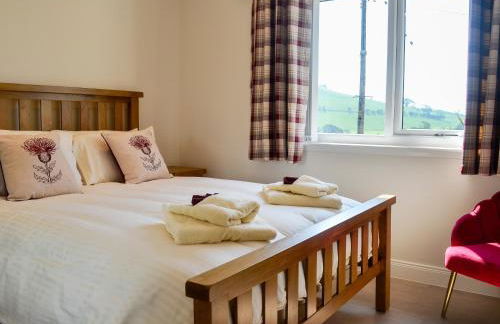 Auchen Ladder - Photo 12