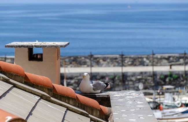 JOIVY Porto Bello a Camogli - Foto 21