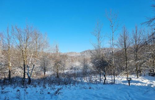 Apartament Wyspiański - Foto 59