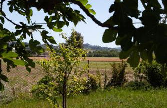 Villa Emilia - Foto 7