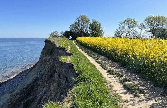 Holiday Home Backbert Near Kappeln - Foto 29