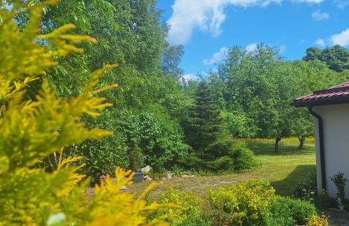 Sielanka Wydmy i Las - Foto 71