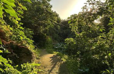 Casa Žerotín - Foto 39