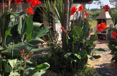 Quinta Forum - Foto 79