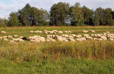 Słoneczny Domek - Foto 19