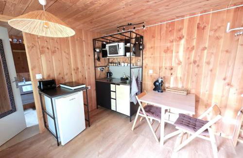 Studio bois avec terrasse et jardin bassin et océan - Foto 7