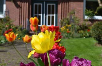 Ferienwohnung Zinne-Wigger - Foto 1