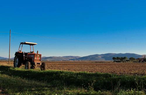 Agriturismo Poderedodici - Foto 46