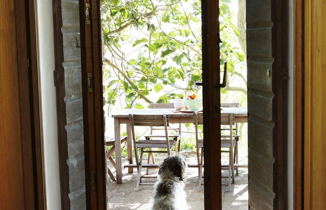 Casedigello - Foto 47