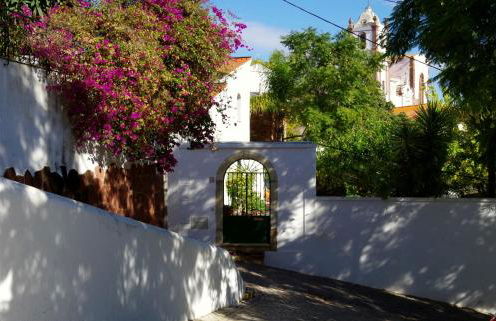 Casa Margarida Azul - Photo 19