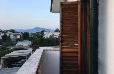 Sofia Mare - Foto 14