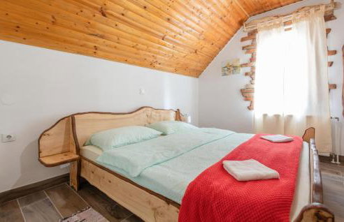 Awesome Home In Novo Zvecevo With Sauna - Foto 25