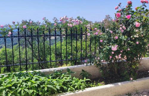 Fioravante - Foto 10