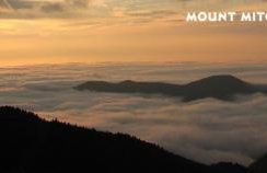 Treetops Cabin easy to Asheville with fast wifi and great view - Foto 22