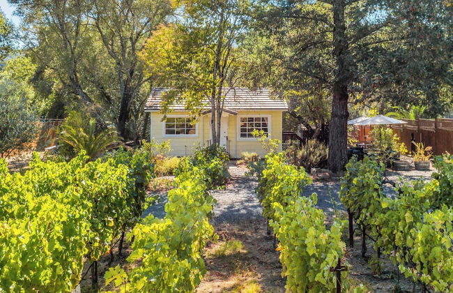 Grapevine Cottage by Avantstay Hobby Vineyard + Firepit - Foto 1