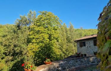 Molino di Cogno - Foto 63