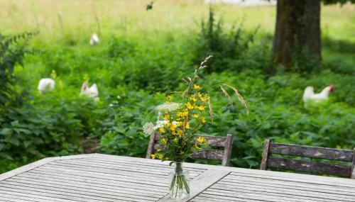 Hof Sinnenberg - Foto 3