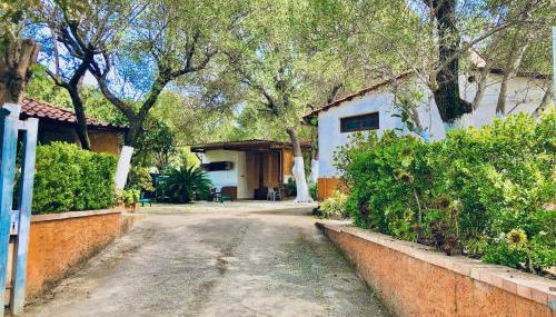 Blu Med - Photo 2, Garden