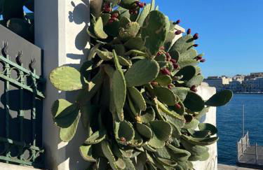 Sea & spiagge a 200m Stella del Salento - Foto 32