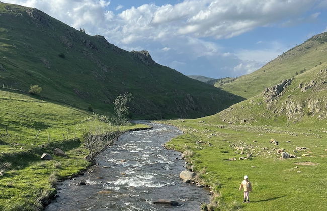 Ny Çambaşı - Foto 72