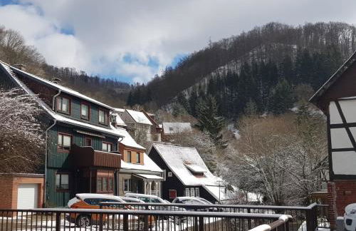 Haus am Fluss mit wunderschöner Dachterrasse mit Flussblick ,Garten und Grill - Foto 42
