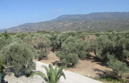 Palirria Hotel & Studios - Photo 50