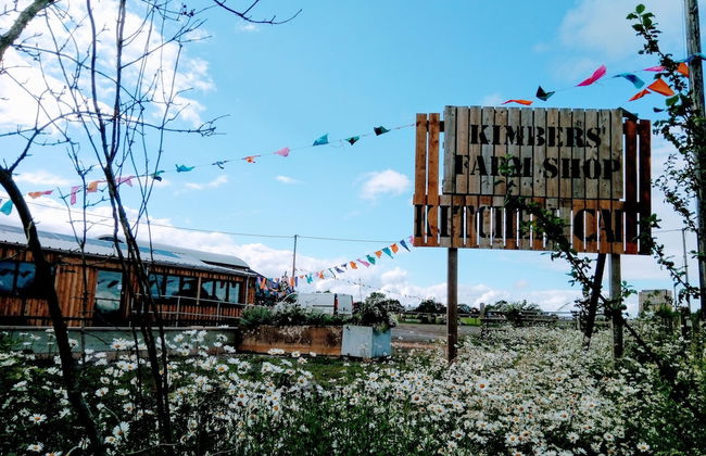 Beautiful Rural Yurt With Wood Fired hot tub - Foto 18