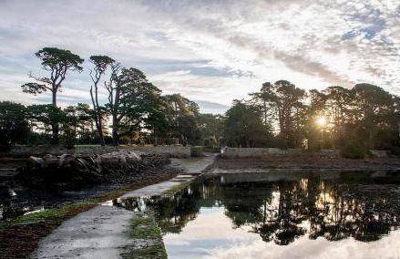 Plein sud - Golfe du Morbihan - Foto 16