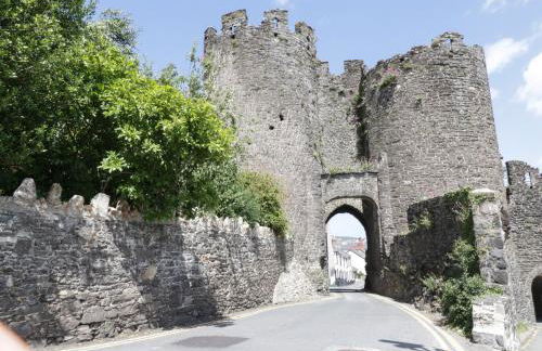 Bryn Derw Holiday Cottage - Foto 39