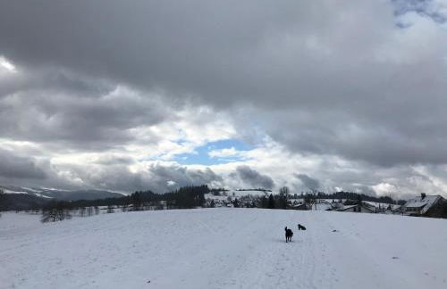 Schwarzwaldmädel - Foto 20