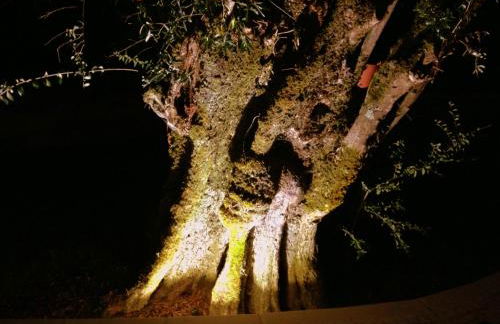 Otium Country House - Foto 66