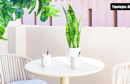 Myflats Premier Suites - Photo 72