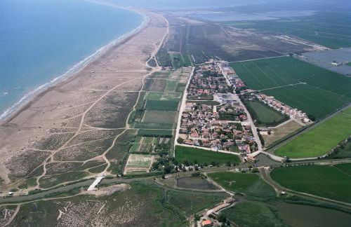 Birds&Nature - Foto 6