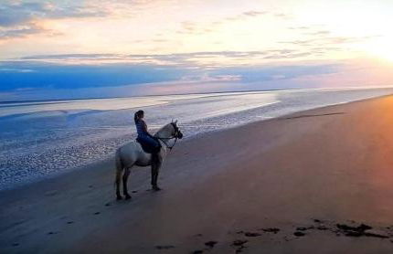 Rozéliande - Foto 39