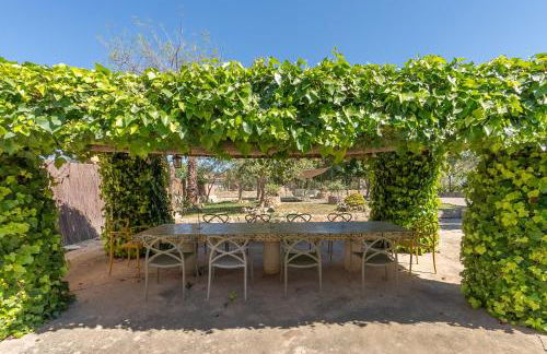 Finca Es Moli Ariany - Foto 63