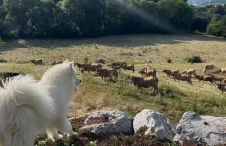 Maison Chez la Malie - Photo 17