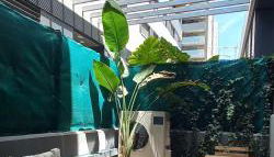 Espectacular Loft Piscina y Terraza - Roig Arena - Las Ciencias - Ruzafa - Valencia Centro - Photo 5