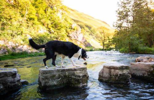 Chapter One - Ashbourne - Foto 44