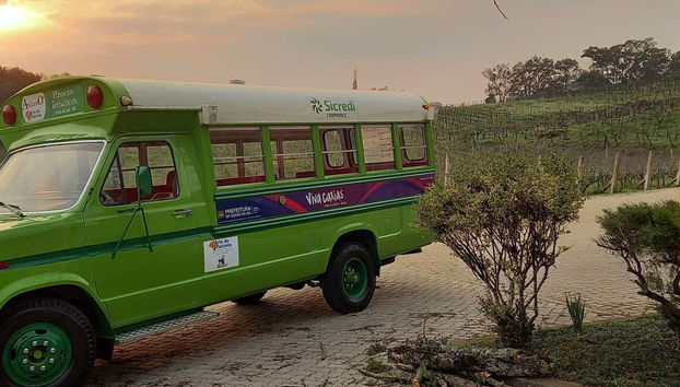 Tour por las bodegas