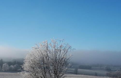Ferienhaus Eifelschätzchen am Kronenburger See - Foto 32