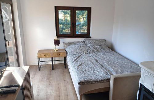 Osada Blanka Leśny Zakątek Jezioro Rzeka Swornegacie - Foto 57