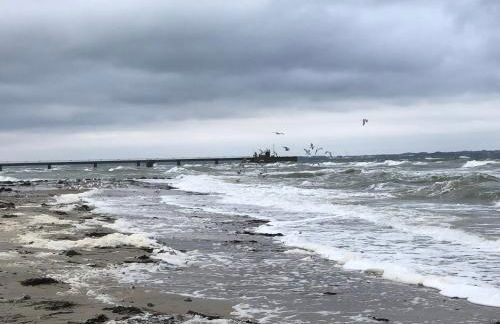 Neues Ferienhaus an der Ostsee+Terrasse+Sauna - Foto 38