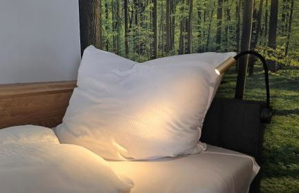 Luxus Ferienwohnung Himmel und SPA mit privater Sauna und Wellnessdusche inkl Wifi und Parkplatz für 4Personen - Foto 11