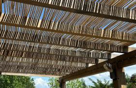 Quinta do Senhor - Foto 9