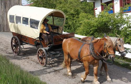 Ferienhaus am Wald - Einzelstandort mit Wallbox - Foto 14