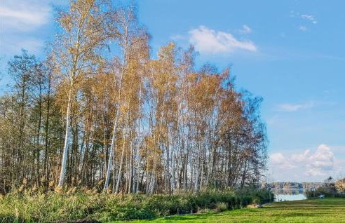 2 Bedroom Lovely Home In Heidesee - Foto 8